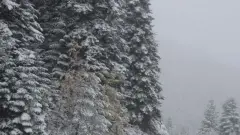 İstanbul'a Kar Alarmı: Ocak 2026'da Beyaz Örtü Kapıda, Kombileri Hazır Tutun - Unroro Haber